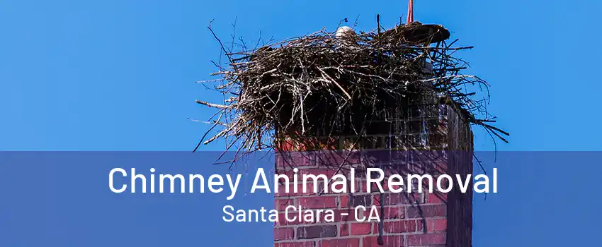 Chimney Animal Removal Santa Clara - CA