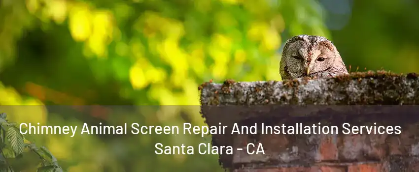 Chimney Animal Screen Repair And Installation Services Santa Clara - CA