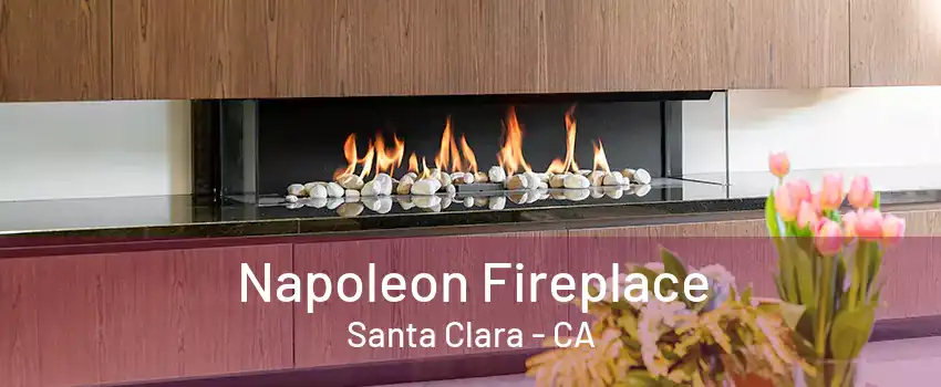 Napoleon Fireplace Santa Clara - CA