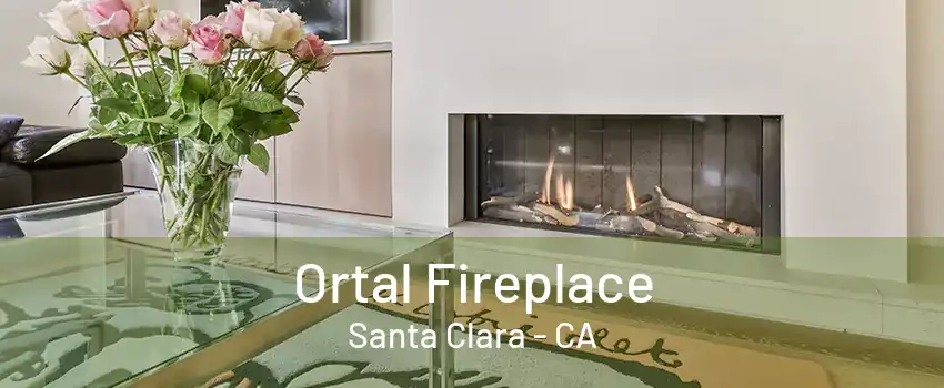 Ortal Fireplace Santa Clara - CA